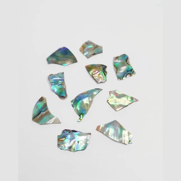 Abalone Lascas 0,5g a 1,5g