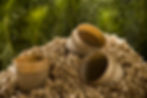 matthew_Philp-wood_fibre_image_2-1.jpeg