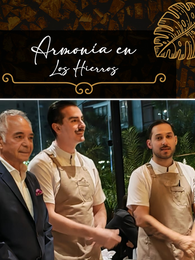 LOS HIERROS UN EJEMPLO A SEGUIR