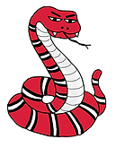 Snake.bmp.png