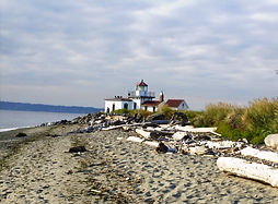 light house, wood, beach, sea, overgrown grass