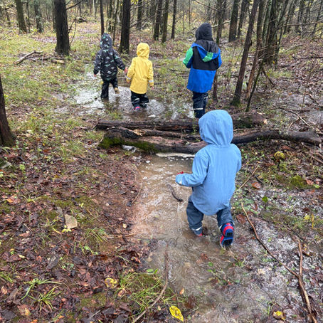 The Wonder Woods: Inquiry and Imagination