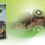 Thumbnail: Squeezy Kiwi fruit Cordial with Juice Concentrate