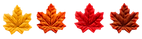 fallleaves.png