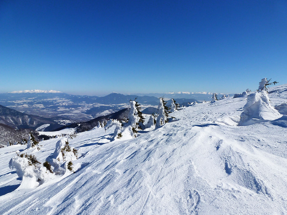 ZIMA - VÝHĽAD Z HREBEŇA NA TATRY.jpg