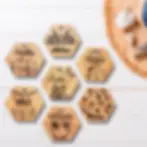 Médaille pour chien originale en bois été