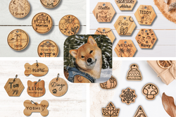 Les médailles chien