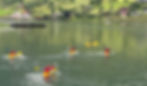 People in red life jackets kayak on a calm, green lake by a grassy hillside with houses. The mood is peaceful. Kayaking in Olden with Olden Active.