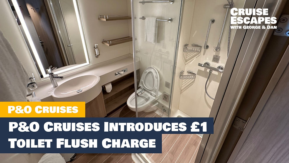 P&O Cruises Introduces £1 Toilet Flush Charge (With Unlimited Package Option)