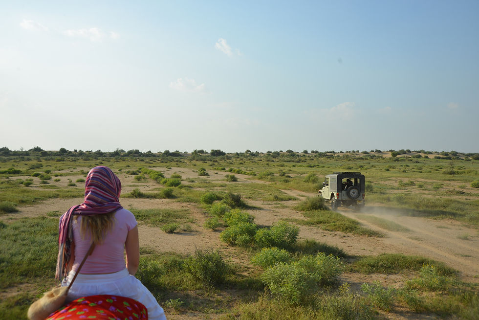 Thumbnail: Rajasthan Rail Adventure