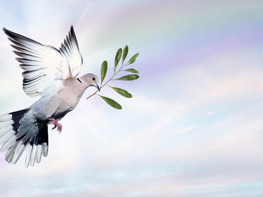 Los Hijos del Divorcio ¿Es posible una disolución compasiva? 