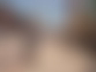 1941 FEDERICO CAMPBELL SIGUE PRESENTE