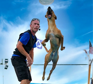 Canines in the Clouds Dock Diving_edited
