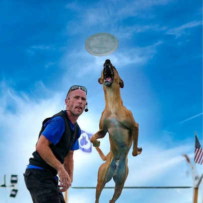 Rescue dogs performing aerial stunts and splash landings during the Canines in the Clouds show at WaunaBoom’s 4th of July celebration.