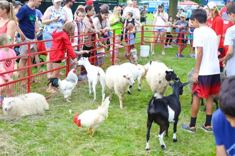 Kids petting goats and sheep at WaunaBoom’s free petting farm