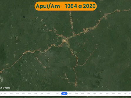 Sustainable businesses are an example in the city that most deforests in the Legal Amazon