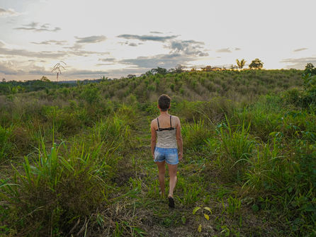 Deforestation and Social Indicators