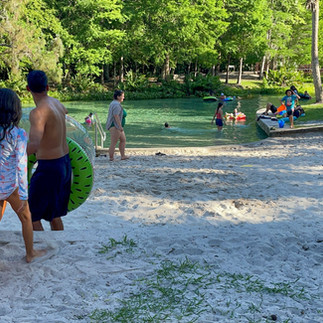 beach area at the kelly park rock springs