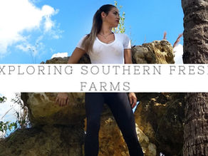 Spending the day at Southern Fresh Farms