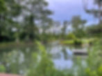 Spring-fed water curving through grassy banks and trees at Florida Caverns State Park.