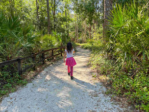 Calusa Nature Center & Planetarium | Things to do in Fort Myers with Kids