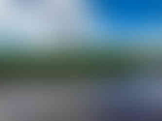 The Florida Everglades