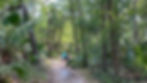 Father and two young kids hiking on the Kelly Loop trail at Kelly Park Rock Springs