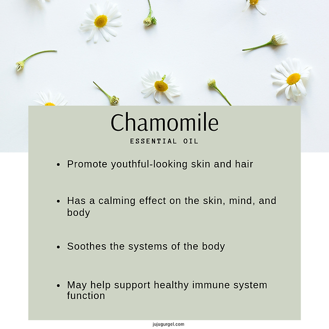 Chamomile essential oil