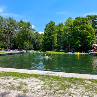pool area at kelly park rock springs 