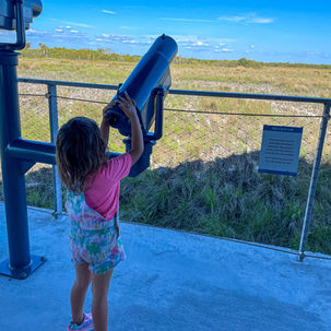 Fakahatchee Strand Preserve: Florida’s Hidden Nature Gem