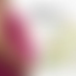 Essential oils for pregnancy