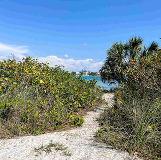 walking trail leading to the beach at Lido Key Beach