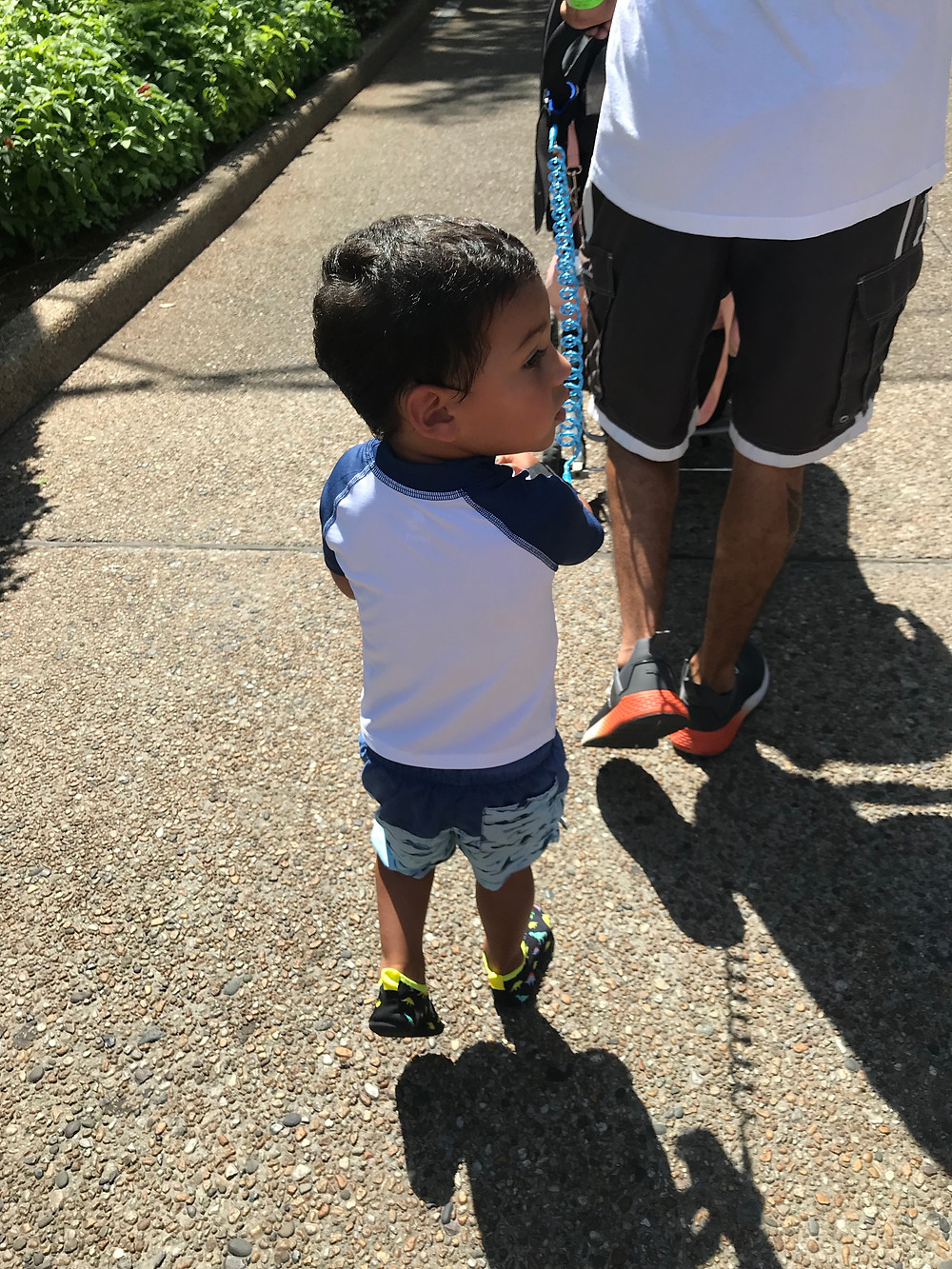 Wearing water clothes and shoes for SeaWorld Orlando Trip
