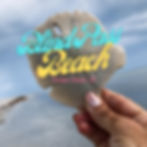 Sand dollar at Bling Pass beach in Sanibel island