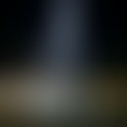 Holiday light Christmas tree at Edison and Ford Winter Estates Fort Myers