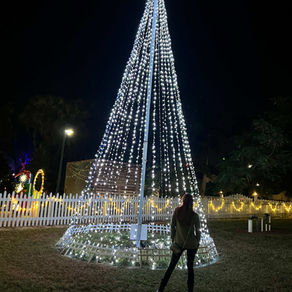 Holiday light Christmas tree at Edison and Ford Winter Estates Fort Myers