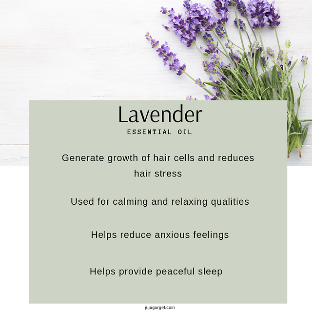 lavender essential oil
