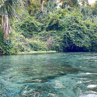 Lazy river at Kelly park rock springs