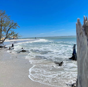 Cayo Costa Island State Park