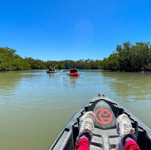 Kayaking in Bonita Springs