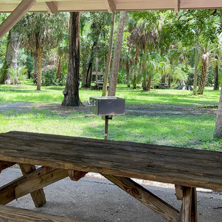 Picnic table and grill