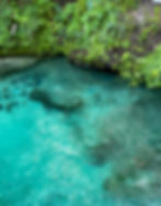 crystal clear water at Rock spring in Apopka