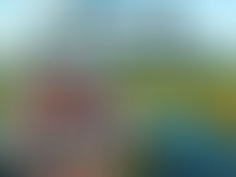 Airboat ride adventure in the Florida Everglades among alligators