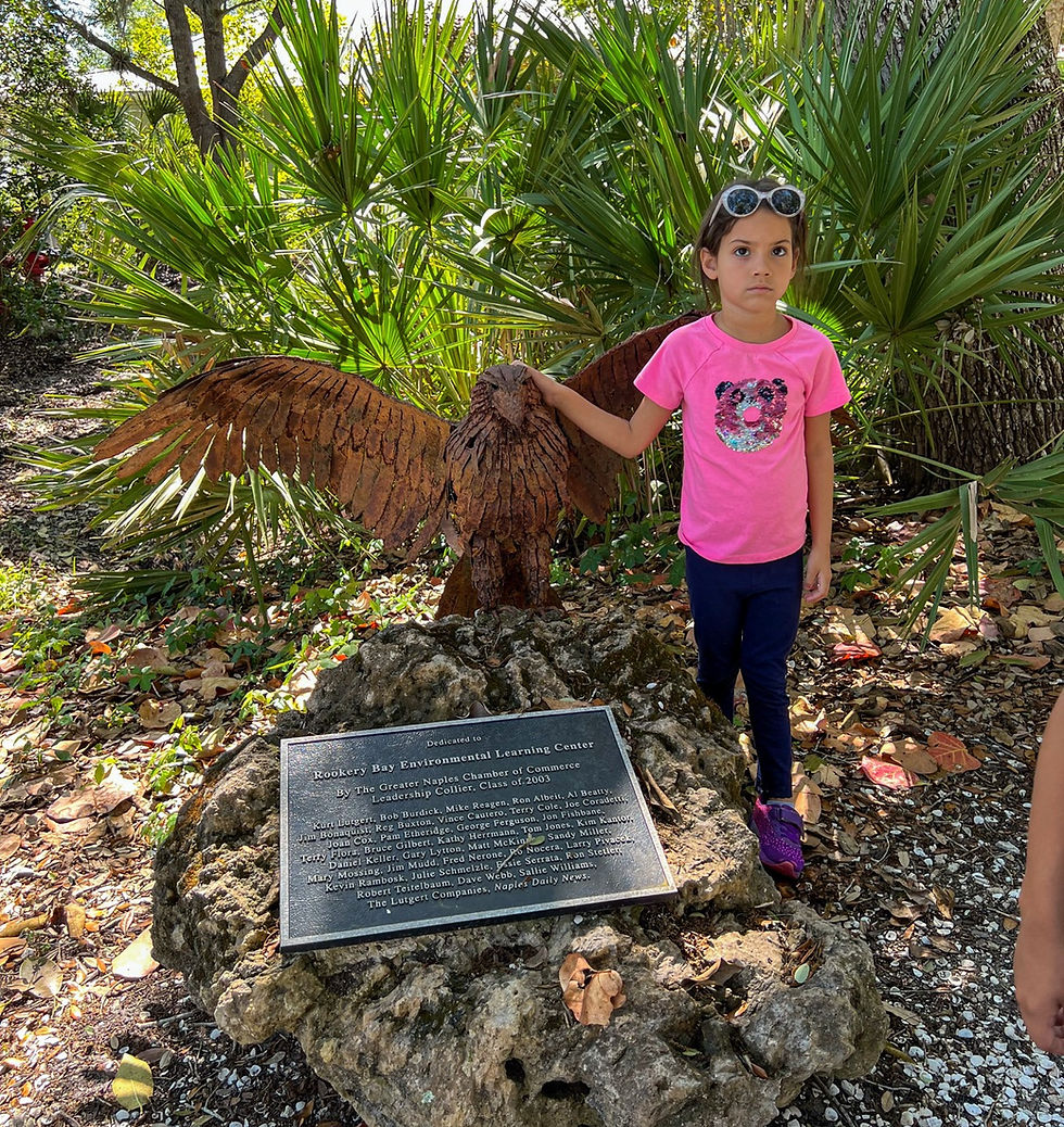 Girl standing beside a bird sculpture and dedication plaque at Rookery Bay Environmental Learning Center.