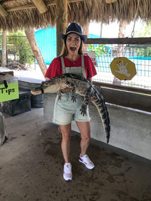 Girl holding a baby alligator
