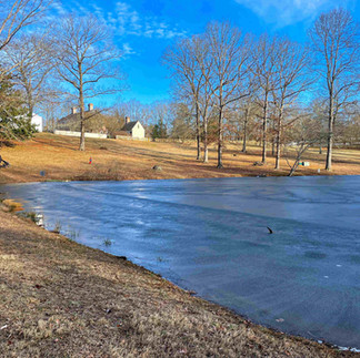 Frozen pond