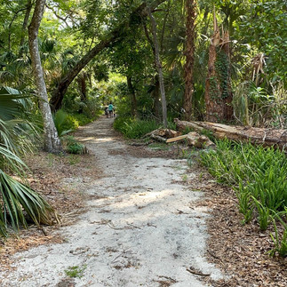 Kelly loop trail at Kelly Park Rock Springs