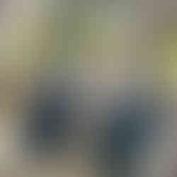 tones of Blue and white pillows