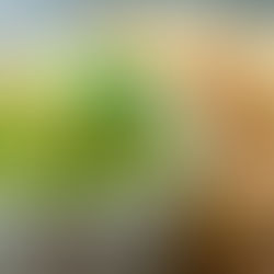 Quick & easy to make delicious guacamole