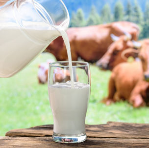 Best alternatives to cow's milk for children